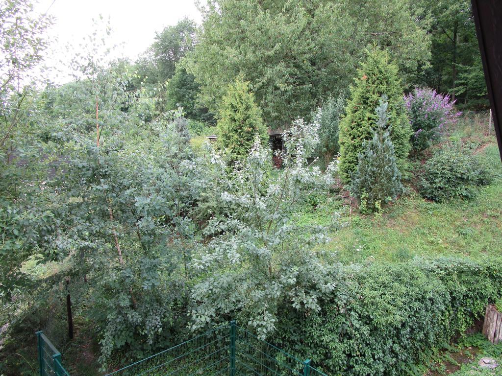 Ferienwohnungen Am Wald ليزا المظهر الخارجي الصورة